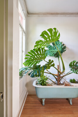 083 — Studio für Architektur und Design